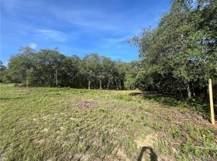 6990 N Lime Dr, Citrus Springs, FL 34433
