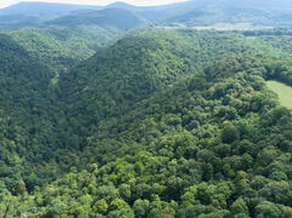 Big Run Rd, Valley Head, WV 26294