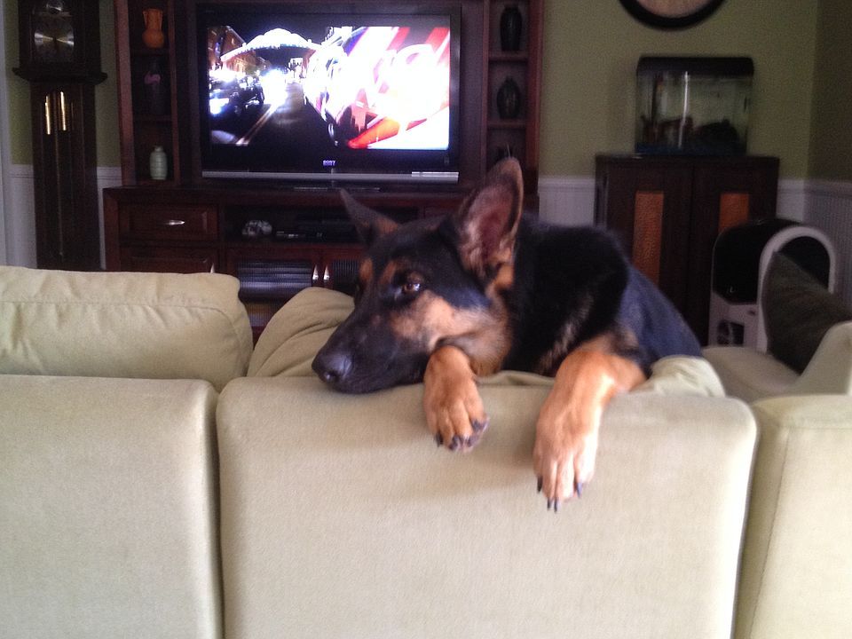 Zeke