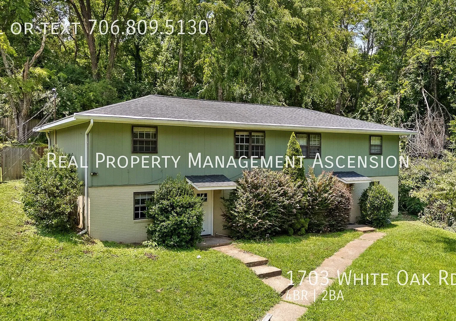 Modern 4 Bed, 2 Bath in North Shore Chattanooga — Photo 2