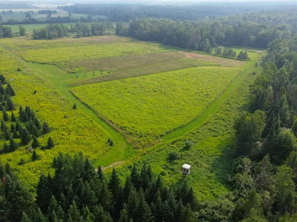 0 State Highway 45, Deerbrook, WI 54424