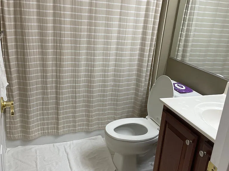Basement Bathroom