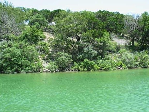 3rd image of 9509 Harbor Dr