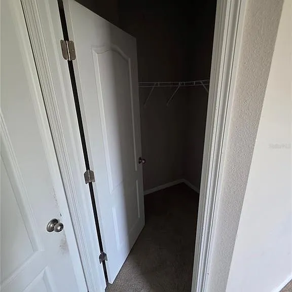 810 Callista Cay Loop — Photo 22
