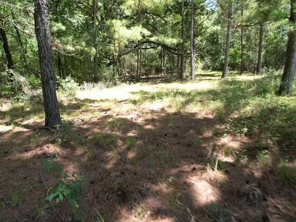 0 Jones Rd, New Waverly, TX 77358