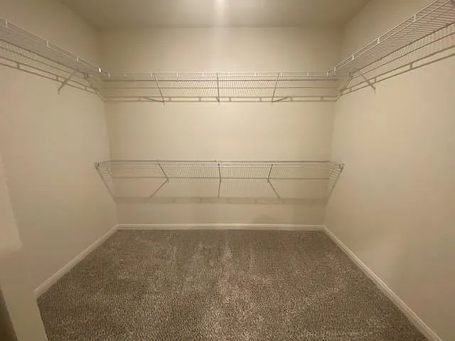 3110 Holstein Dr — Photo 11