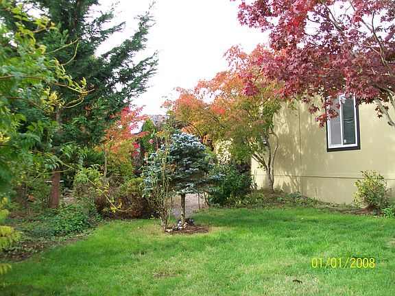 Back yard