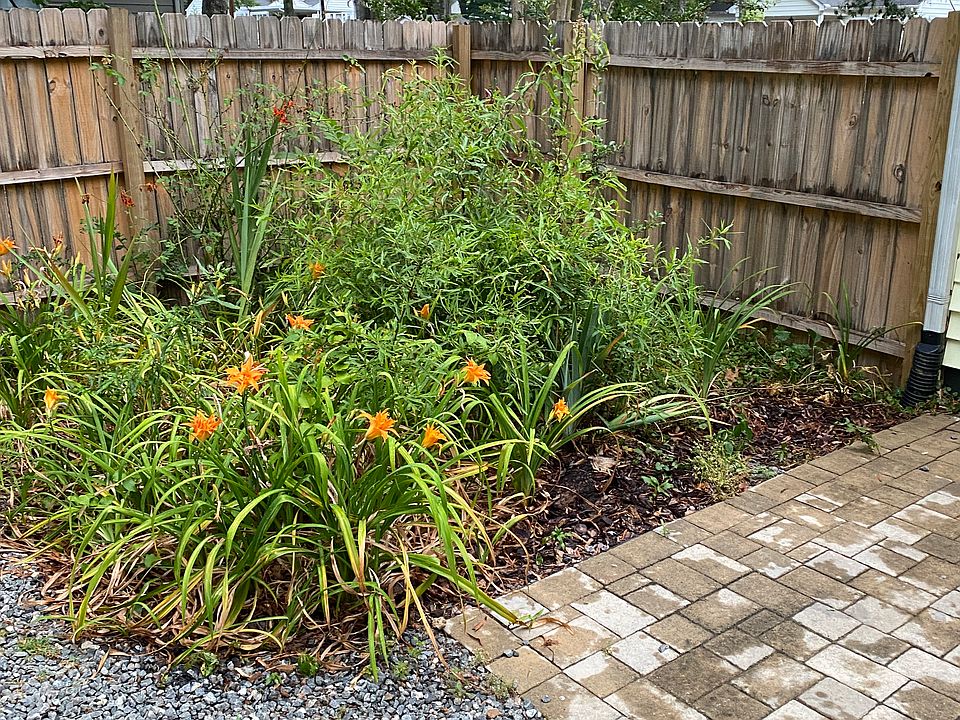 Garden area off the back porch.