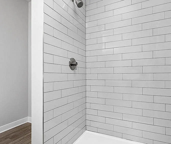 Modern Walk-In Shower