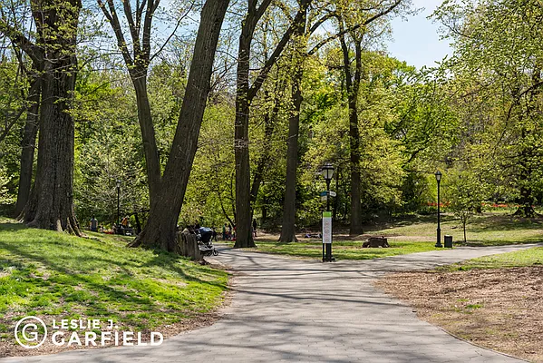 Sold by Leslie J. Garfield | media 27