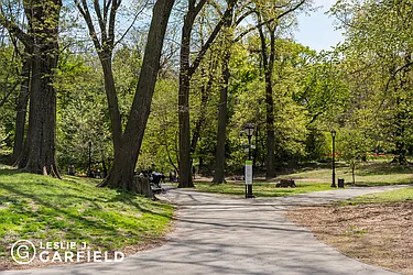 Sold by Leslie J. Garfield