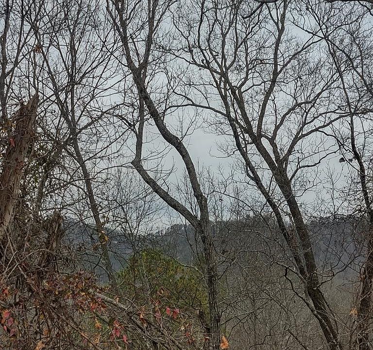 2nd image of 38 Cloud View Dr Lot 38