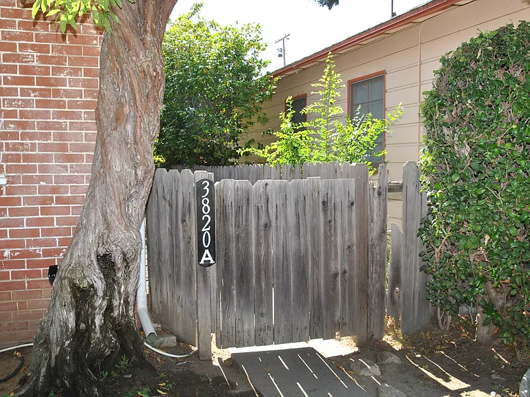 3820 Cedar Ave — Photo 19