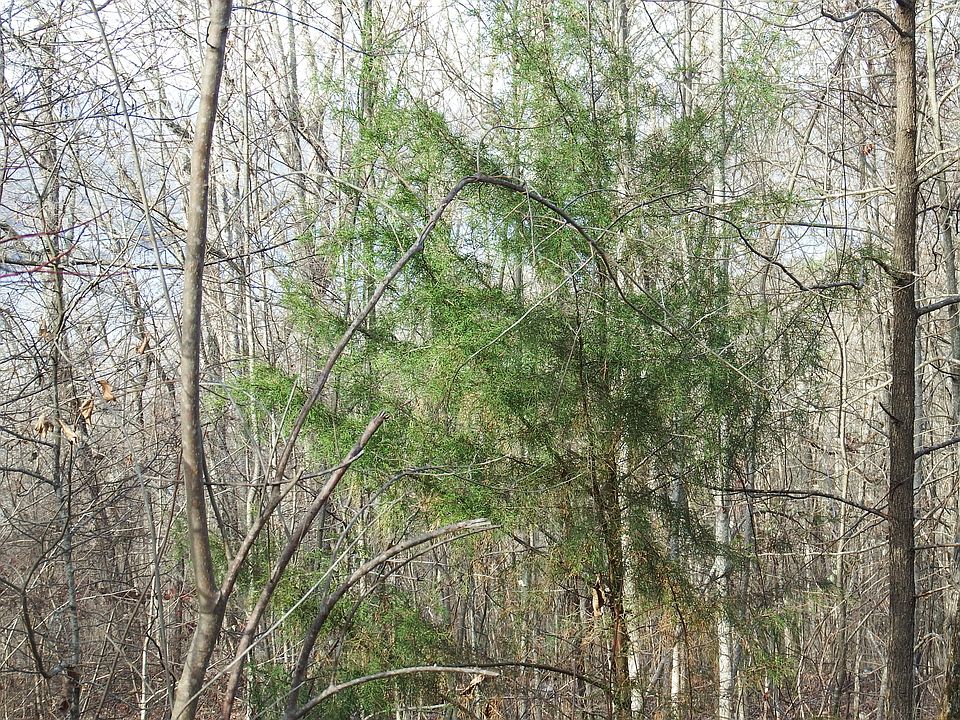 1st image of 33 Scenic Dr #33
