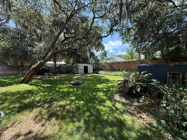 Back Yard