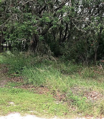 2nd image of 2074 W Lowen Rd