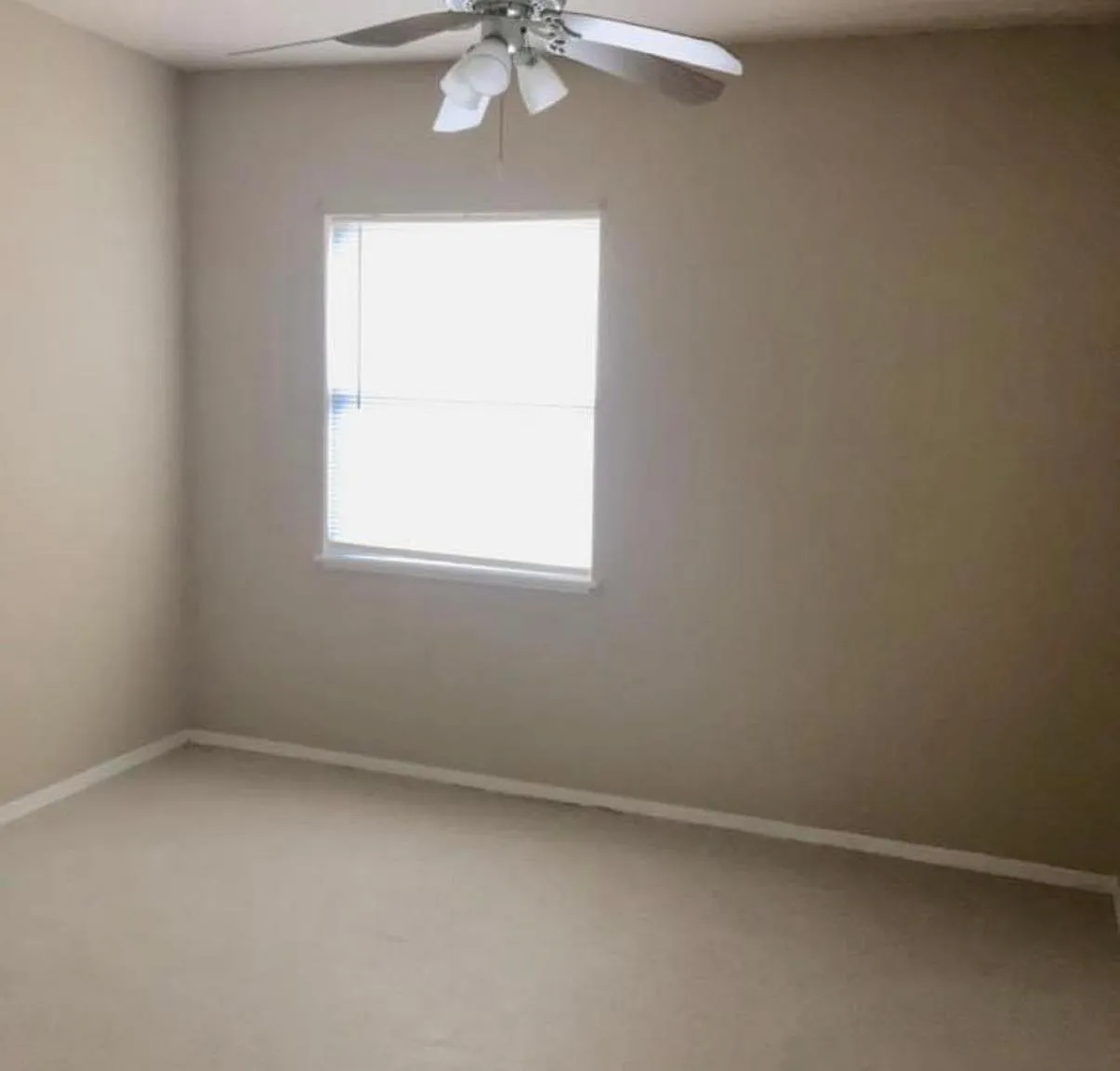 1 bed, 850 sqft, $650 — Photo 4