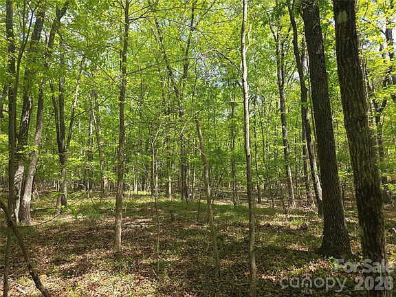 2nd image of LOT 5 Wolf Pond Rd