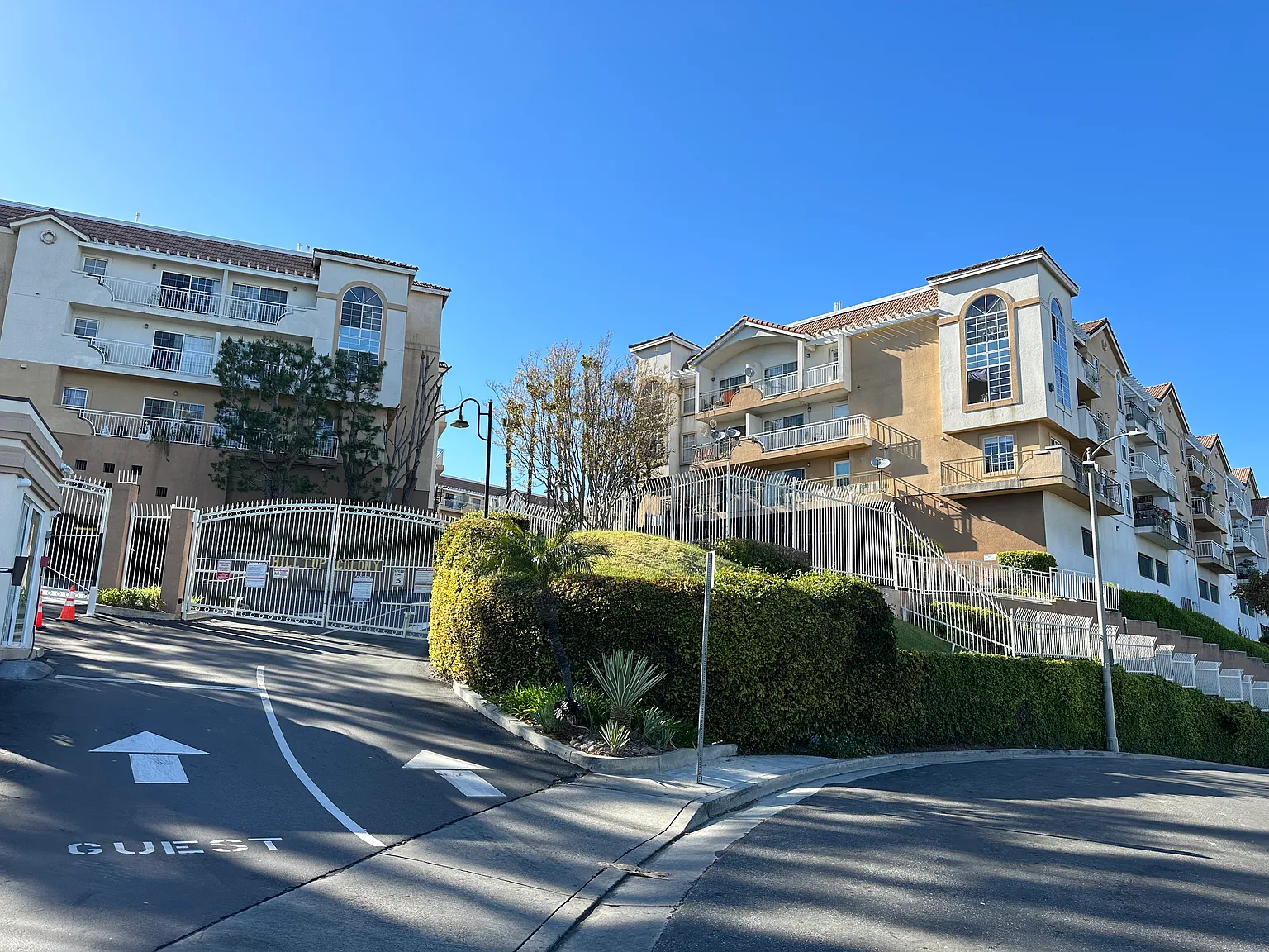 1 bed, 695 sqft, $2,450 — Photo 2