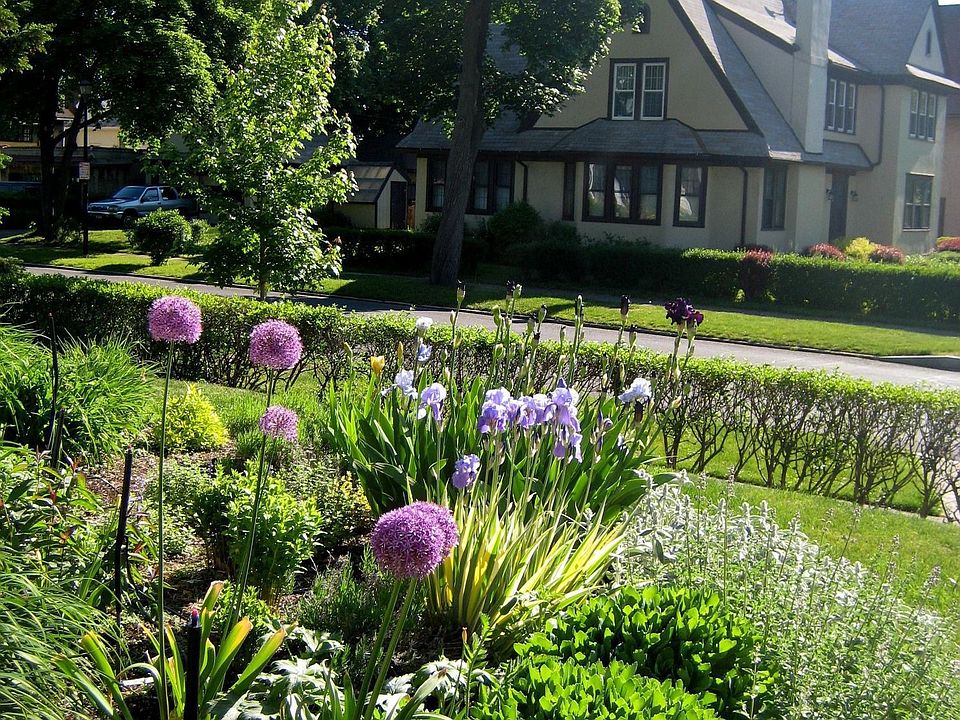 easy-care perennial garden