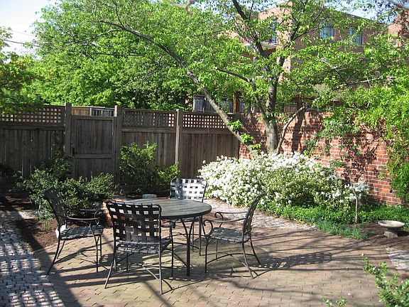 Back garden