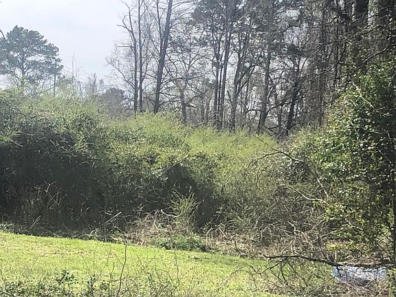 3rd image of LOT 18 Bishop St