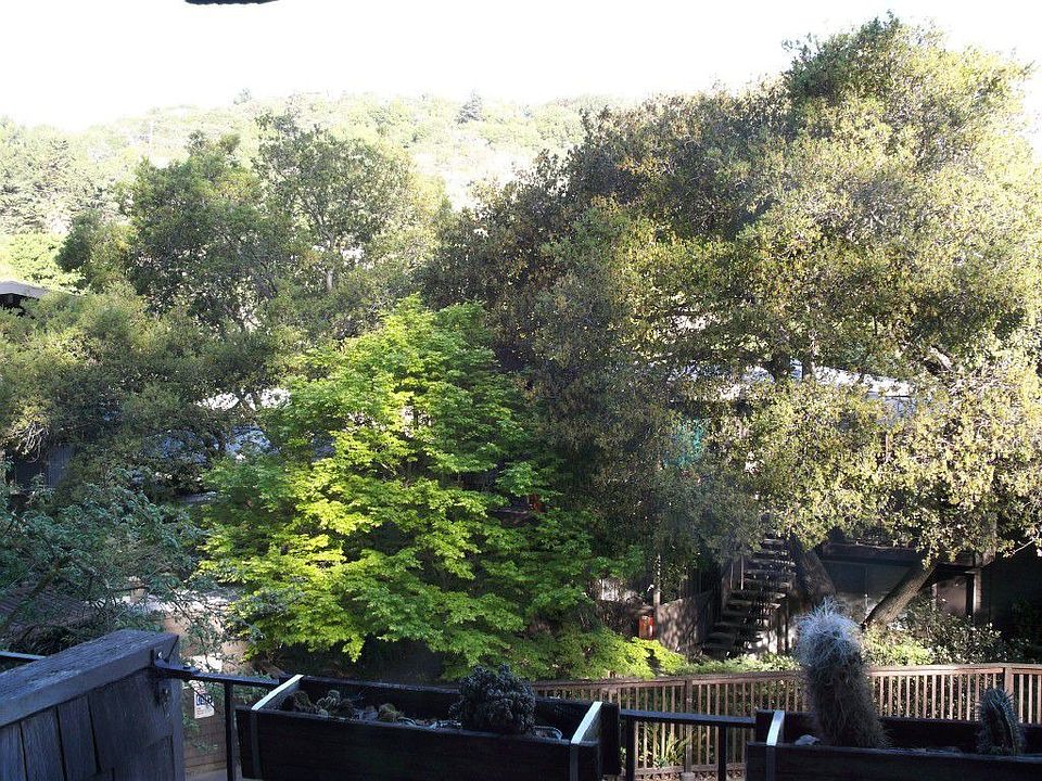 View from Dining Ares