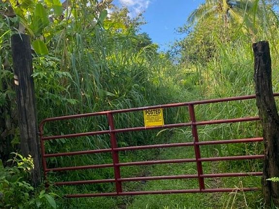 2nd image of 1580 Lower Nahiku Rd