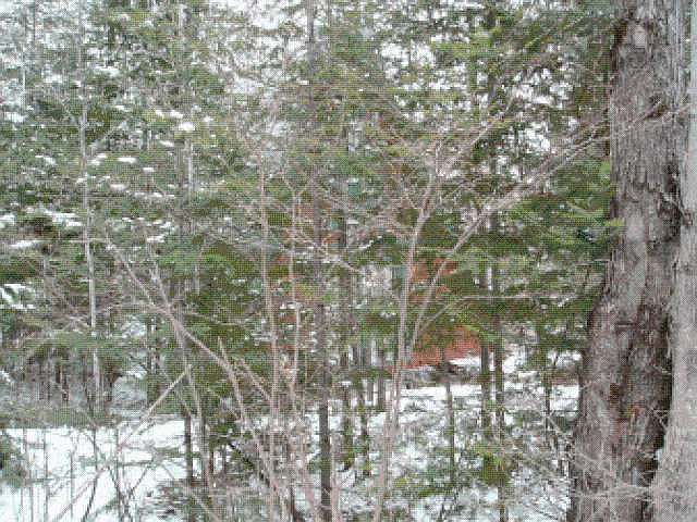 2nd image of 3802 W Deer Path Rd