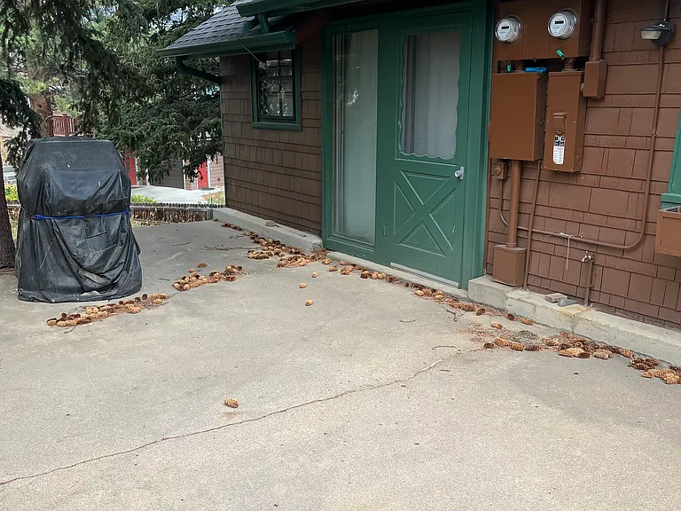 Back patio/grill area