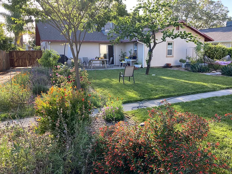 Back porch and lawn area