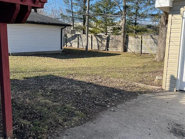 Back yard