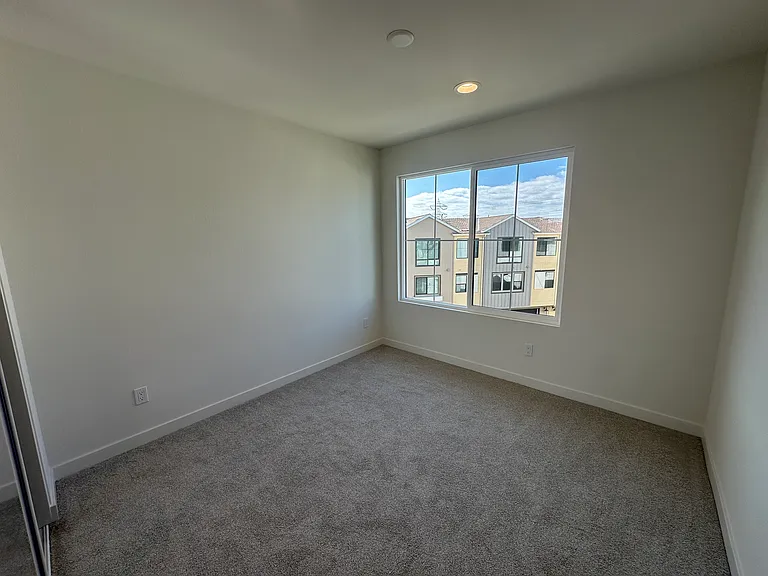 2480 Calendula Ln — Photo 12