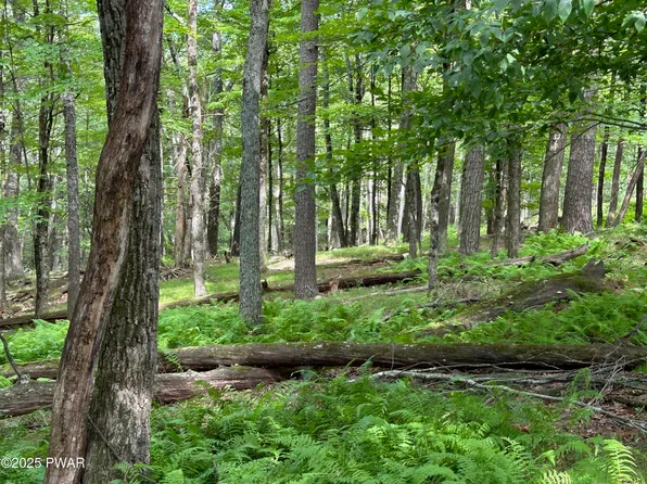 194 Log Tavern Rd, Milford, PA 18337