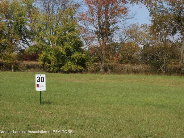 7325 Cross Creek Dr, Laingsburg, MI 48848