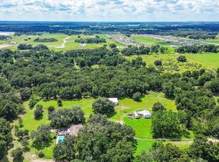 11327 CARTER GROVE LANE, THONOTOSASSA, FL 33592