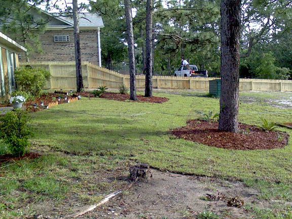 front yard
