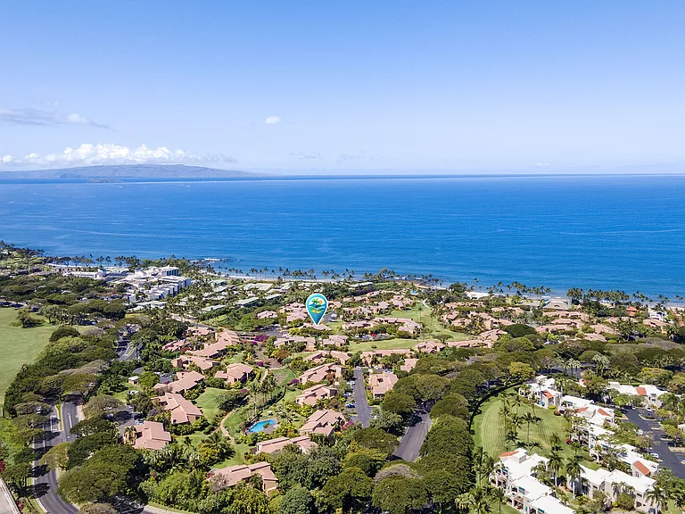 Wailea Alanui Dr — Photo 49