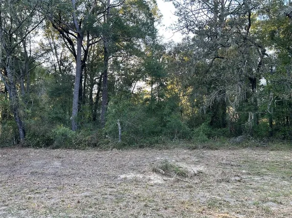 NE 155th Ct Lot 2, Williston, FL 32696