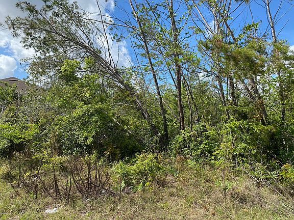 5th image of 408 Meadowview Ter