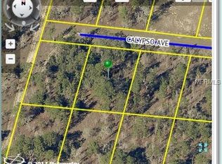Calypso Ave, Weeki wachee, FL 34614