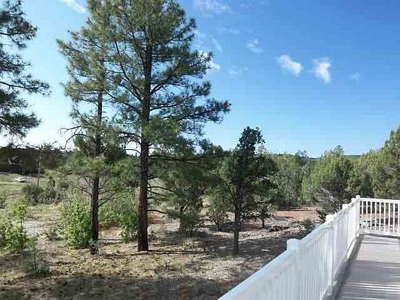 3rd image of 1546 Black Forest Rd