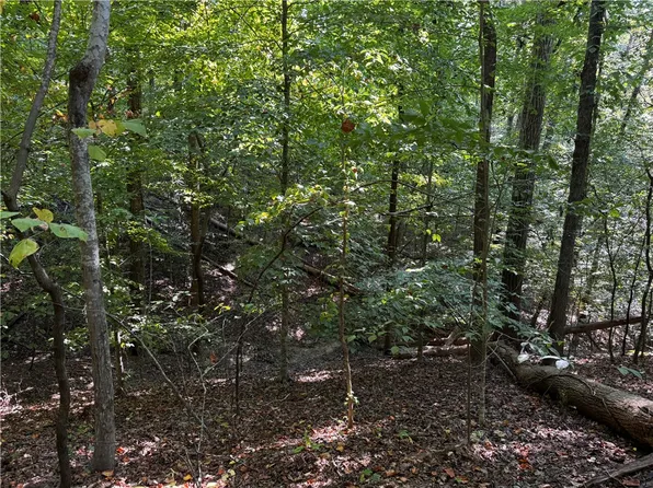 0 Buttercup Ct Lot 283, Westminster, SC 29693
