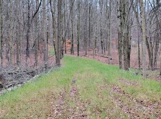 15742 Lowe Rd NE, Alliance, OH 44601