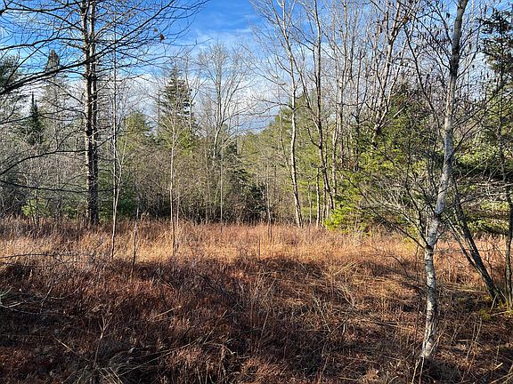 4th image of 181 Gray Meadow Road