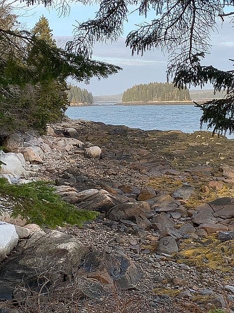 Deeded shared access