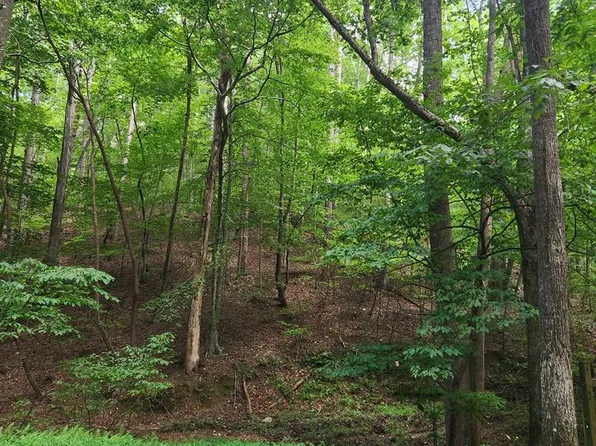 133 Shiloh Ln, Ellijay, GA 30540