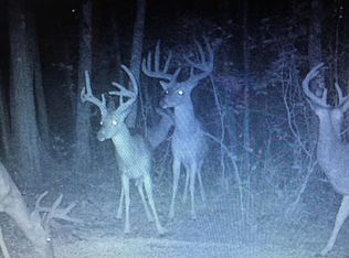 Bird Farm Rd, Jasper, AL 35503