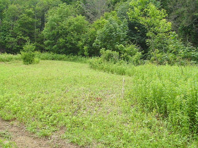 1st image of Lot 2 Ramsey Hollow Lane