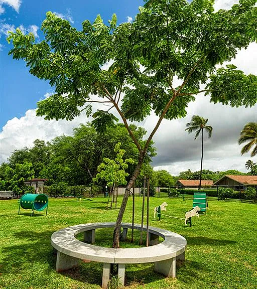 Kapilina Beach Homes — Photo 49